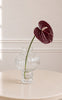 Sabloom Stilke - Anthurium - Burgundy