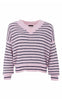 Black Colour Strik - Dell Striped - Rose