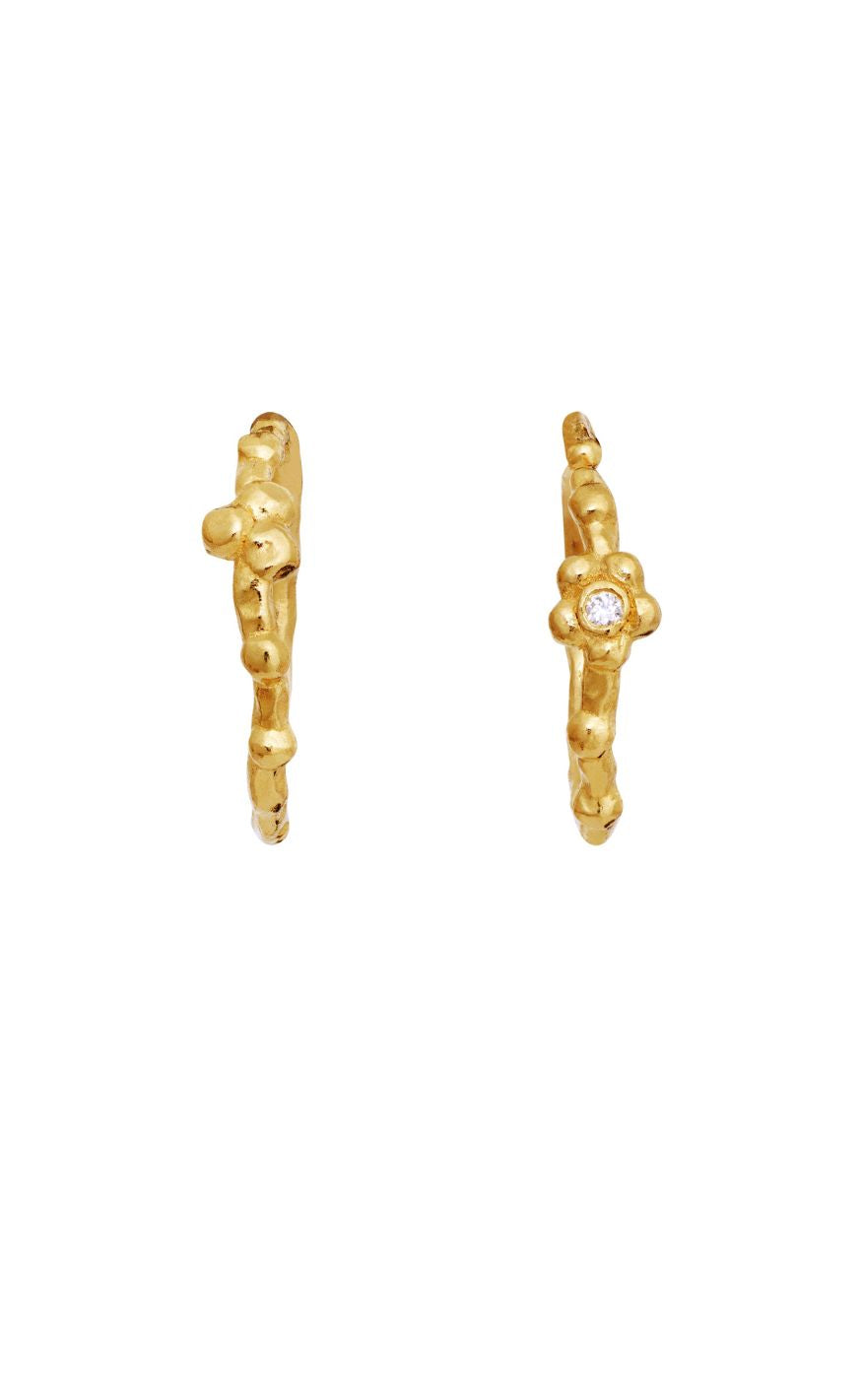 Maanesten Øreringe - Neri - Gold Colour