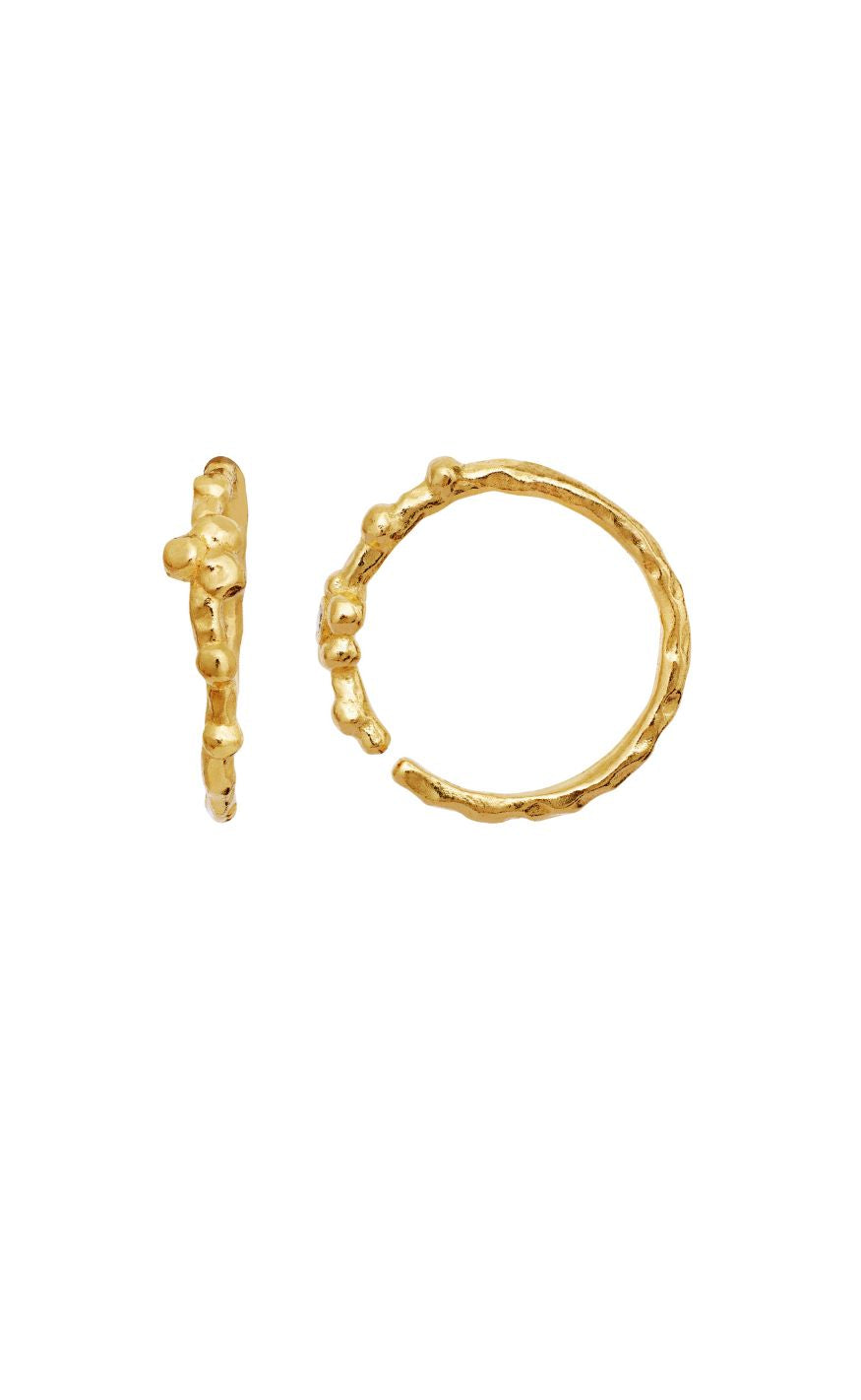 Maanesten Øreringe - Neri - Gold Colour